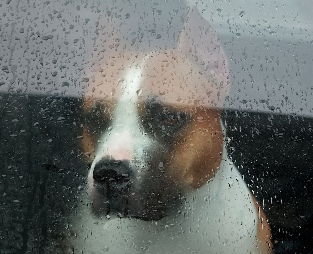 Editorial: May 13, 2022